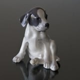 Smooth-haired Terrier sitting looking funny, Royal Copenhagen dog figurine No. 259 or 051