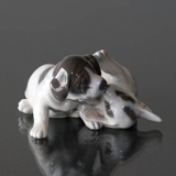 Pointer Puppies, Royal Copenhagen dog figurine no. 453 or 058