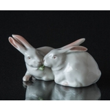 Weißes Paar Kaninchen, Royal Copenhagen Figur Nr. 518 oder 065