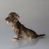 Grævlingehund, Royal Copenhagen hundefigur nr. 856 | Nr. 1020078 | Alt. R856 | DPH Trading