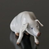 Schwein, Royal Copenhagen Figur Nr. 1400 oder 101