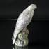 Islandsk falk, Royal Copenhagen fugle figur nr. 1661 | Nr. 1020109 | Alt. R1661 | DPH Trading