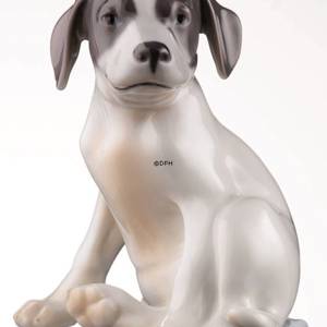 Pointerhvalp, Royal Copenhagen hunde figur | Nr. 1020206 | Alt. r206 | DPH Trading