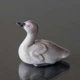 Svaneunge som strækker hals, Royal Copenhagen fugle figur nr. 361