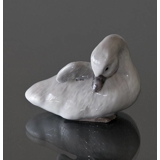 Svaneunge med løftet vinge, Royal Copenhagen fugle figur nr. 364