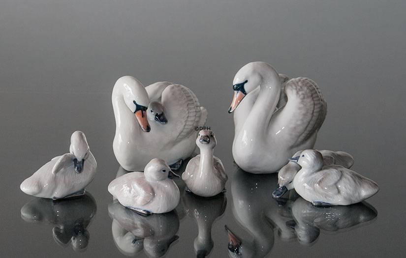 Svaneunge med løftet vinge, Royal Copenhagen fugle figur nr. 364