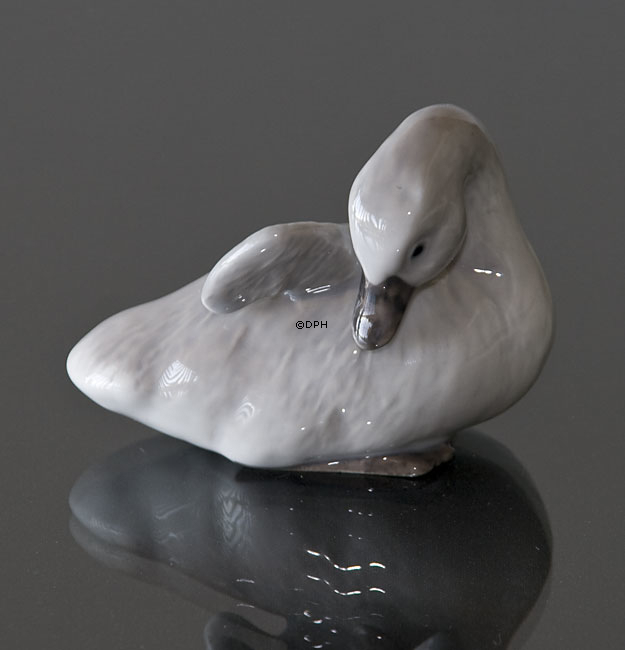 Svaneunge med løftet vinge, Royal Copenhagen fugle figur nr. 364