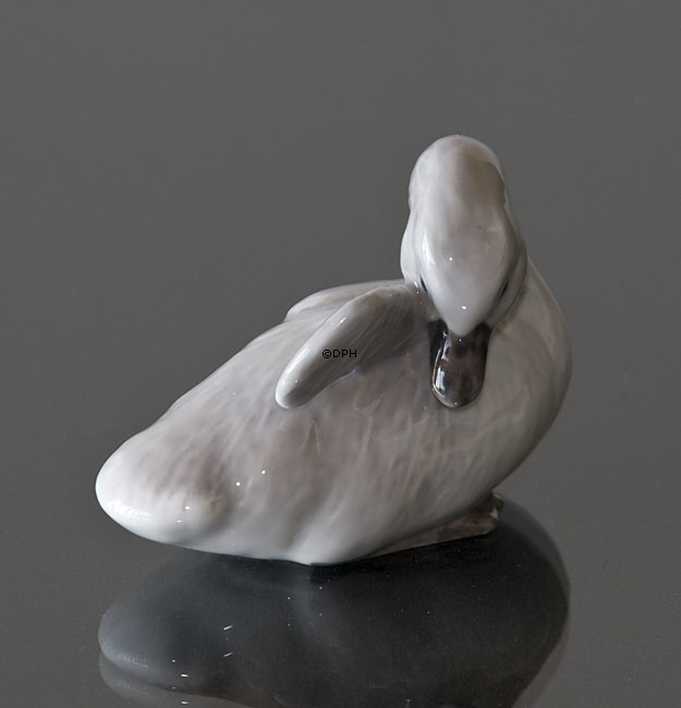 Svaneunge med løftet vinge, Royal Copenhagen fugle figur nr. 364