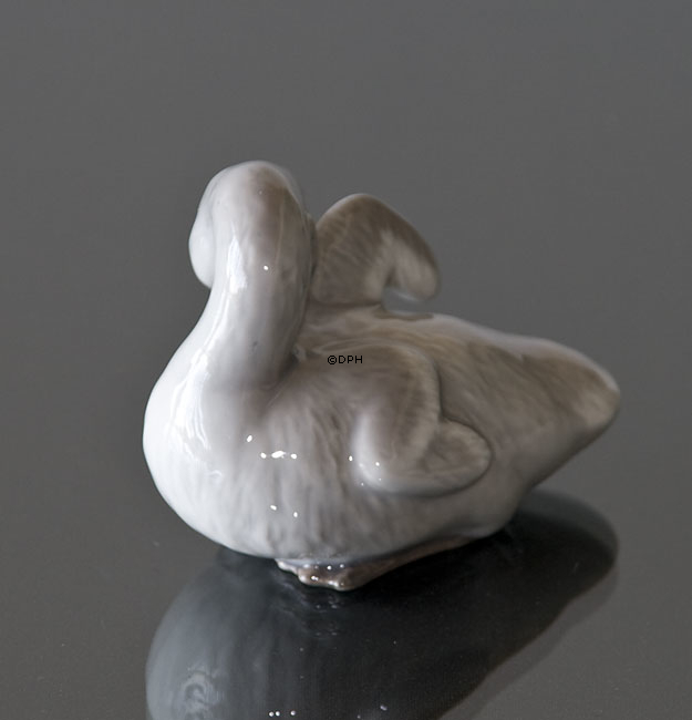 Svaneunge med løftet vinge, Royal Copenhagen fugle figur nr. 364