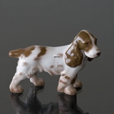 Cockerspaniel, standing looking attentively, Bing & Grondahl figurine no. 2172 or 450