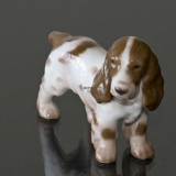 Stående Cockerspaniel, hund, Bing & Grøndahl figur nr. 2172 eller 450