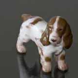 Cockerspaniel, standing looking attentively, Bing & Grondahl figurine no. 2172 or 450