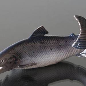 Stor Lakseørred, Bing & Grøndahl figur af fisk nr. 2366 | Nr. 1020502 | Alt. B2366 | DPH Trading