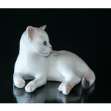 Liggende hvid kattekilling, Bing & Grøndahl katte figur nr. 2504 eller 504