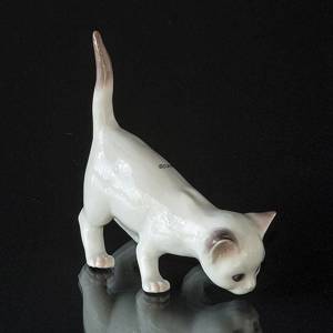 Hvid kat med løftet hale, Bing & Grøndahl kattefigur nr. 2507 | Nr. 1020507 | Alt. B2507 | DPH Trading