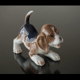 Beagle, Bing & Grondahl dog figurine no. 2564 or 564