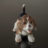 Beagle, Bing & Grøndahl hundefigur nr. 2564 eller 564