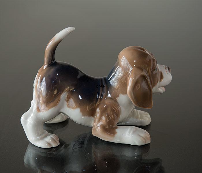 Beagle, Bing & Grøndahl hundefigur nr. 2564 eller 564