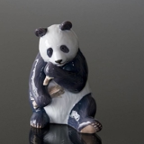 Panda, der Bambus isst und froh aussieht, Royal Copenhagen Figur Nr. 662