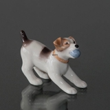 Foxterrier, Royal Copenhagen dog figurine no. 743
