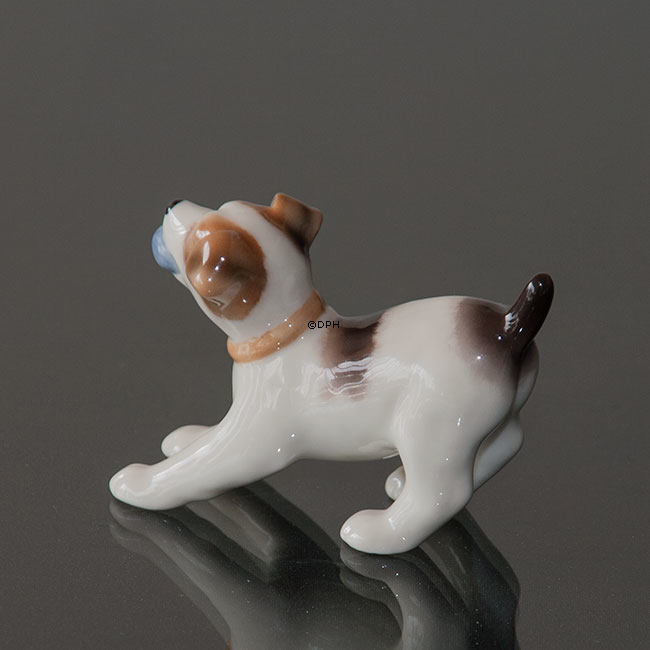 Foxterrier, Royal Copenhagen hunde figur nr. 743