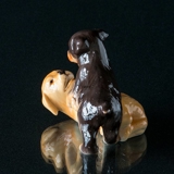 Golden Retriever and rottweiler puppies playing, Royal Copenhagen dog figurine no. 746