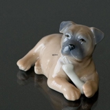 Boxer glücklich mit seinem Knochen, Royal Copenhagen Hund Figur Nr. 748