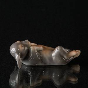 Gravhund, Royal Copenhagen hunde figur | Nr. 1020753 | Alt. 1020753 | DPH Trading