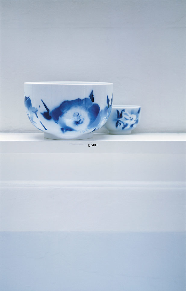 Hannemann Project, Skål, Stor