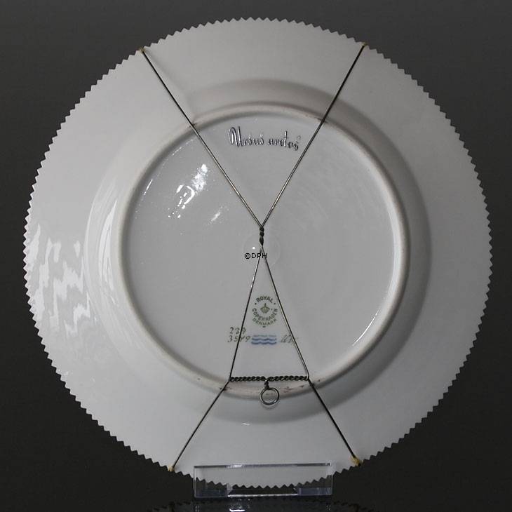 Fauna Danica flad tallerken med bjørn, Royal Copenhagen