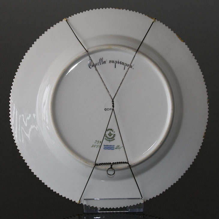 Fauna Danica flad tallerken med gemse, Royal Copenhagen