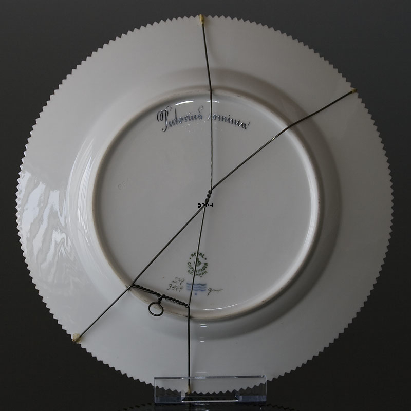 Fauna Danica flad tallerken med hermelin, Royal Copenhagen