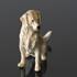 Golden Retriever, Royal Copenhagen hunde figur | Nr. 1244039 | Alt. 1244039 | DPH Trading