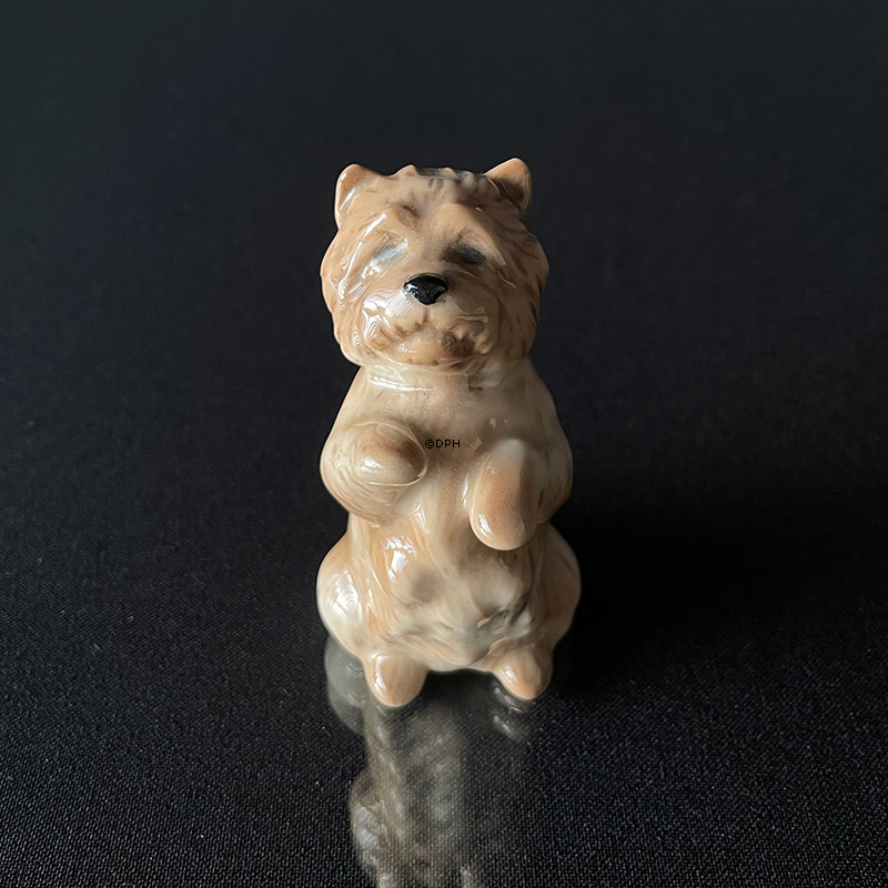 Cairn Terrier, Royal Copenhagen hunde figur 7 cm nr. 042