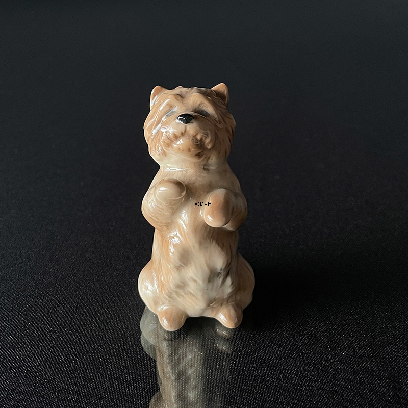 Cairn Terrier, Royal Copenhagen hunde figur 7 cm nr. 042