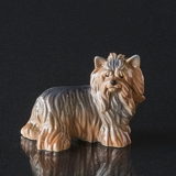 Yorkshire Terrier, Royal Copenhagen hunde figur nr. 043
