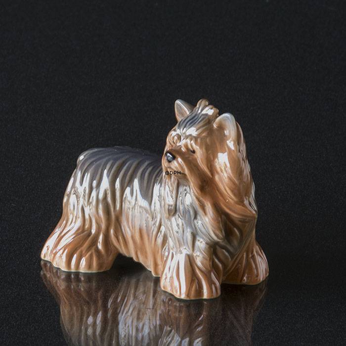 Yorkshire Terrier, Royal Copenhagen hunde figur nr. 043
