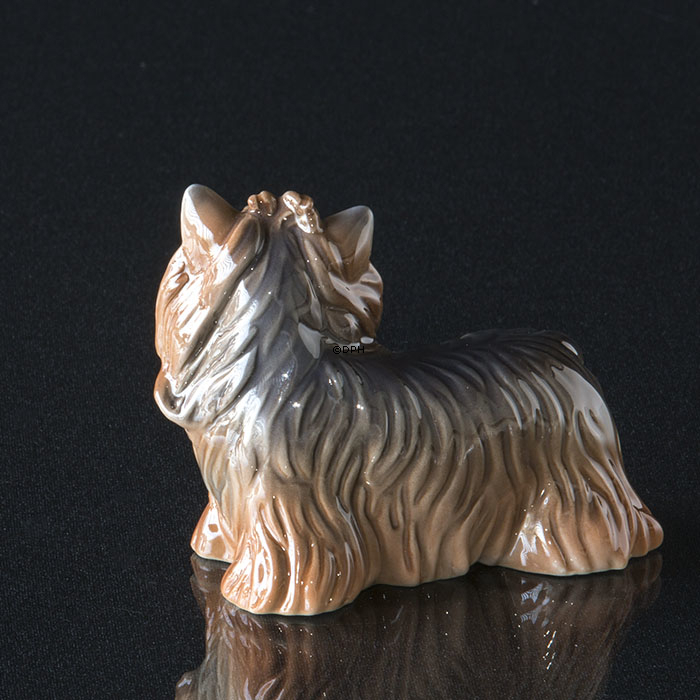 Yorkshire Terrier, Royal Copenhagen hunde figur nr. 043