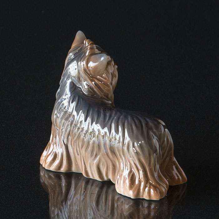 Yorkshire Terrier, Royal Copenhagen hunde figur nr. 043