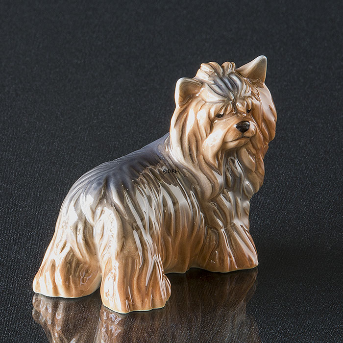 Yorkshire Terrier, Royal Copenhagen hunde figur nr. 043