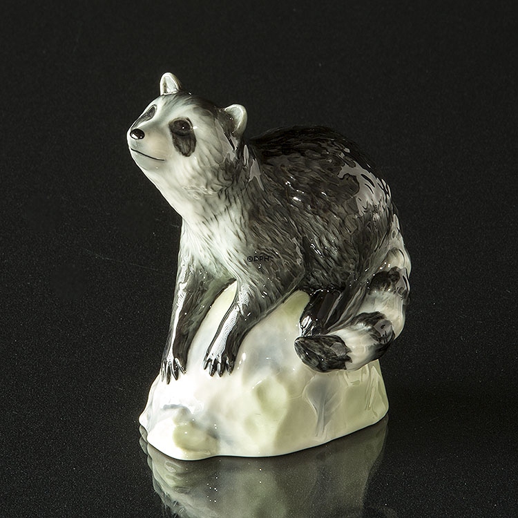 Vaskebjørn på sten kigger op, Royal Copenhagen figur nr. 057