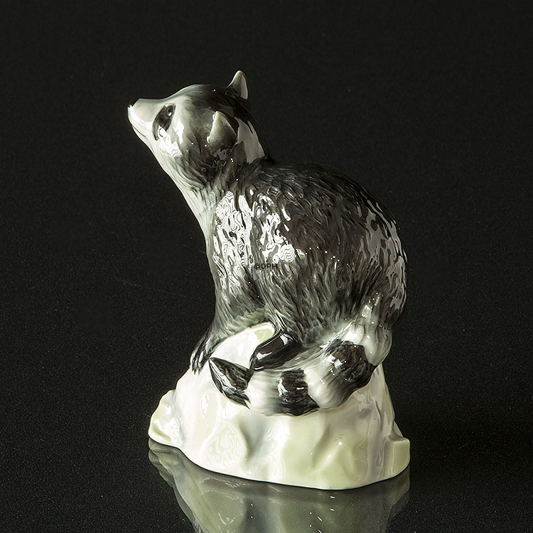 Vaskebjørn på sten kigger op, Royal Copenhagen figur nr. 057