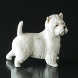 Hund, West Highland Terrier, Royal Copenhagen hunde figur nr. 512