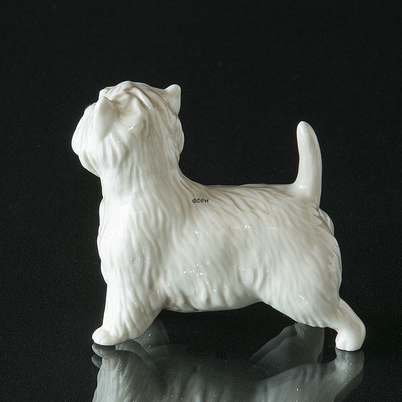 Hund, West Highland Terrier, Royal Copenhagen hunde figur nr. 512