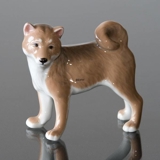Hund, Shibi Inu, Royal Copenhagen hunde figur nr. 665