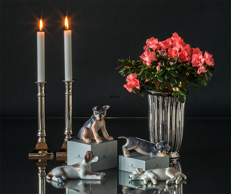 Hund, Gravhundehvalp, Royal Copenhagen hunde figur nr. 681