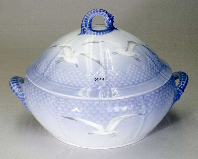 Måge uden guld, Suppeterrin, mellem nr. 181