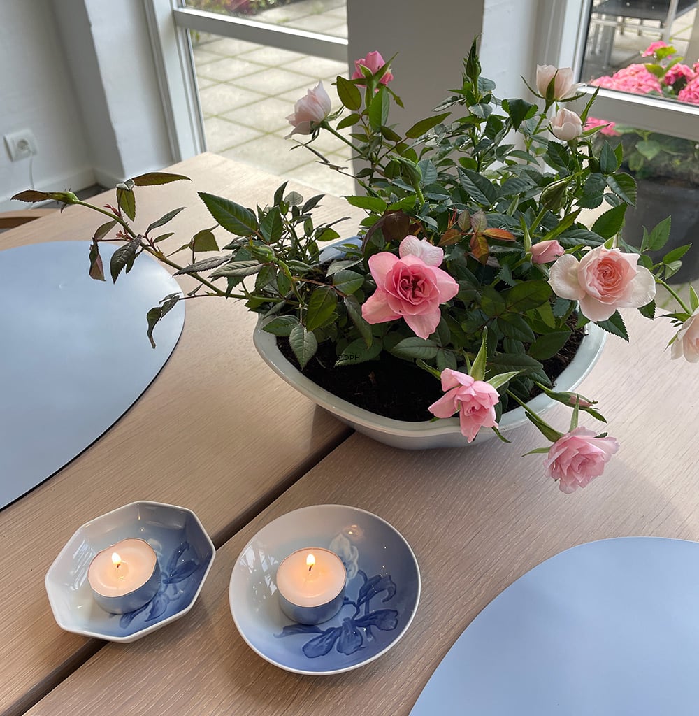 Julerose stel kartoffel skål Bing & Grøndahl nr. 43, 313 eller 578