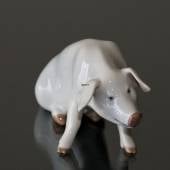 Royal Copenhagen Schwein Figur