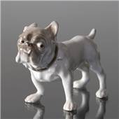 Dahl Jensen, Small Bulldog, Bing & Grondahl dog figurineProducer : Bing & GrøndahlItem no.: B1676Height: 11 cm